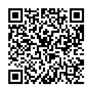 蓝天云事务所这样一家来自马来西亚的公司很不起眼二维码生成