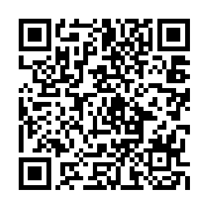 蓝子夜走进来的时候是和那位光头大汉一同来的二维码生成