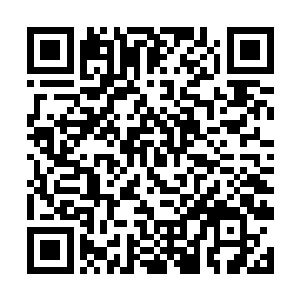 蓝海里面有品级的灵鱼数量最多的就是一品波浪鱼了二维码生成