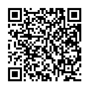 蓝色方一直都很忌惮陈诚能在一场战斗中产生的作用和输出二维码生成