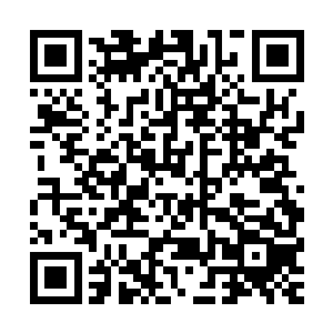 蓝色方的一选一般都会给自家的中路先抢掉一个版本ob的英雄二维码生成