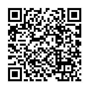 蓝迦神王此时则已化作一尊九丈余高的蓝鲨大妖王二维码生成