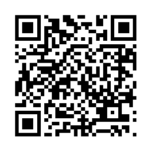 蓝阁主是青辰殿下唯一亲自收入的女弟子呢二维码生成