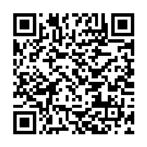 蓝鲨灵帅给他的建议是让他暂时在岛上躲避一段时间二维码生成