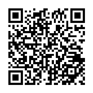 蓦地被突然散发出来的两道龙息压制的身形一顿二维码生成