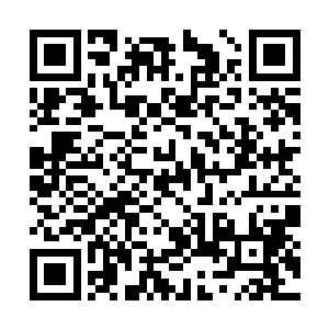 蓦然听到这个魂牵梦绕的名字从亚米的嘴里蹦出来二维码生成