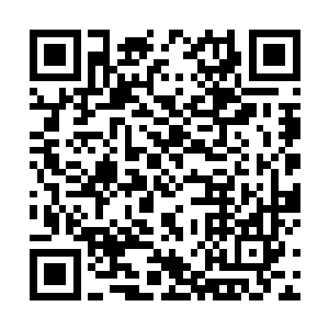 蔡上人一定要得到……这容易让我生出一些不好的联想二维码生成