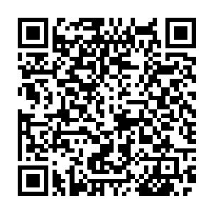 蕃公子便让自己去刑部尚书何鳌府上请何尚书到府上来……一大早就特么跑腿了二维码生成