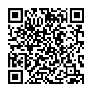 蕴含在内丹之内的混沌之力顿时如绝了提的洪水似得二维码生成
