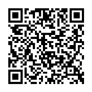 蕾伊进入幻觉听到的是欧比旺的声音而不是卢克二维码生成