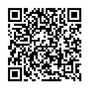 薛瑞实在是想不明白黄怡究竟跟哪儿来那么大魅力二维码生成