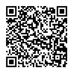 薛老四让人把新购置的钢琴搬进客厅时薛阎正坐在沙发上摆弄手提电脑二维码生成