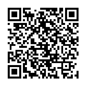 藏到这里都不安生……你们两个就不能换个地方折腾嘛……二维码生成