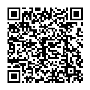 藏在心灵深处的关于维安娜伯爵夫人的记忆一点一点地浮现了出来二维码生成