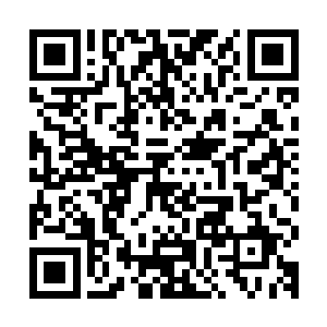 藏宝库中有着张铁从威夷次大陆十八个三眼会家族收割来的财富二维码生成