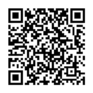 藏尸肯定能够在一瞬间就搞定这个不知道天高地厚的人二维码生成