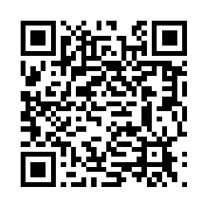 藏身在距离黑龙殿不足五百里处的海树丛林内二维码生成