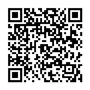 藏青锋手臂的伤竟已是用肉眼可见的速度好了起来二维码生成