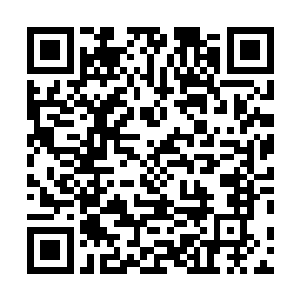 虎哥的死绝对和芝安一中那个叫做林烽的学生脱不了关系二维码生成