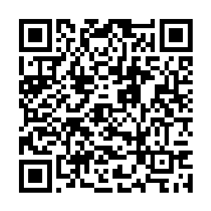 虎啸天看着自己的手竟然这么容易就被冥皇给扳开二维码生成