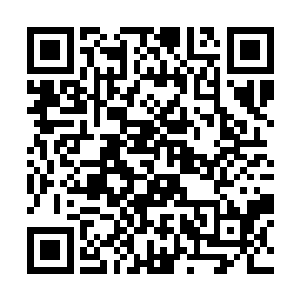 虚弱的不能动了还有这胳膊痛的要命好像有蚂蚁在啃二维码生成