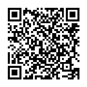 虚无极带着一些人半小时前潜入符魔神大军的后方去了二维码生成