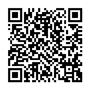 虚空之道与轮回之道都是三千大道中排名在百名之内的强悍大道二维码生成