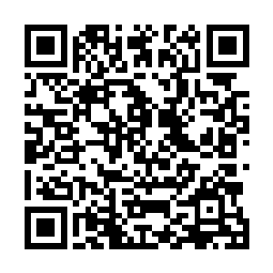 虫魔这坚不可摧的身体对于酸性血液的抗性却并不算太强二维码生成