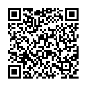 虹漫天看着叶怒提交上来的各种怒城的改造建议二维码生成