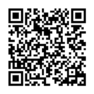 虽圣旨上说了此位钦差大人可以巡查南直隶及各布政司二维码生成