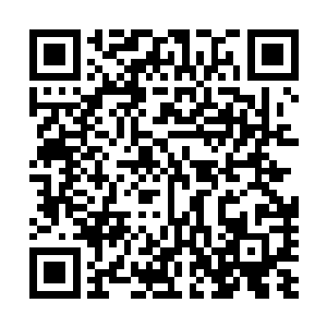 虽然一开始可能要靠着那副傲人的皮相低三下四地伺候枕席二维码生成