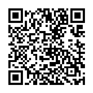 虽然一贫真人将有关于封神之战的事情都告诉了他们二维码生成