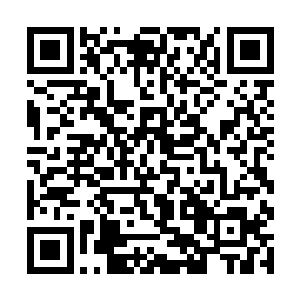 虽然不清楚冰之生命和雪之生命之间到底是什么情况二维码生成