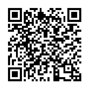 虽然不知道节目组的人是如何找来偶像安排这个惊喜的二维码生成