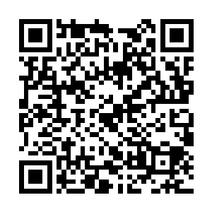 虽然严默已经严格要求不准其他健康者进入隔离区二维码生成