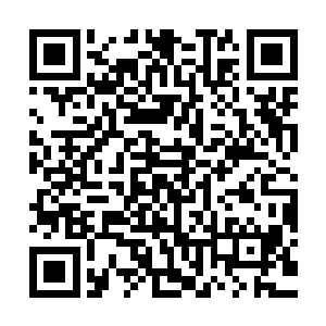 虽然严默心里觉得这家伙只是喜欢趴在他胸膛和肚子上睡觉而已二维码生成