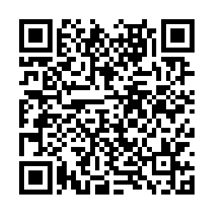 虽然也就是泛东亚文化圈和阿拉伯文化圈这俩地方二维码生成