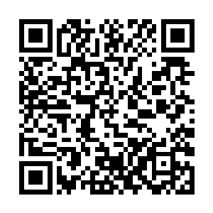 虽然云妃还没有不自量力的想要去挑衅皇后和柳贵妃二维码生成
