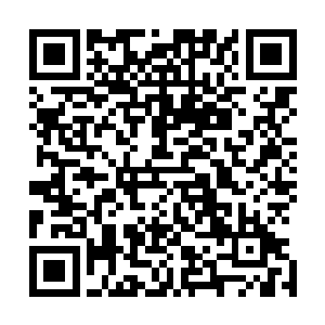 虽然从自己几件衣服中选了最体面的一件粗布料子衣衫穿上二维码生成