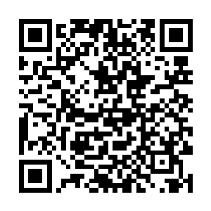 虽然从那个隐世家族修士的身上得到的玉简速度很快二维码生成