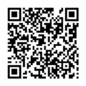 虽然他不知道季宸渊为什么要将孙爱媛带回府上来二维码生成