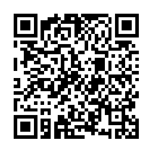 虽然他不知道神树吸收了自己的一滴金血发生了什么变化二维码生成