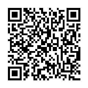 虽然他不知道这五十根诛邪神箭现而今究竟如何了二维码生成