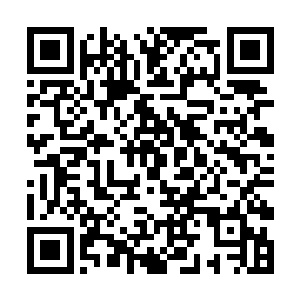 虽然他不知道那些北地修士和宗门弟子为什么不见了二维码生成