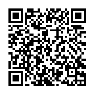 虽然他们不清楚整场战争到底牵涉了多少势力和修士二维码生成