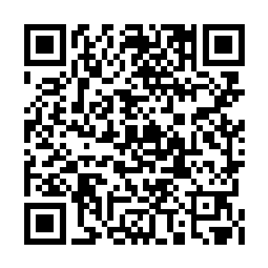 虽然他们不知道夏天是怎么斩杀那个首席弟子的二维码生成