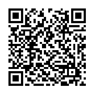 虽然他们不知道洛哥为什么会对一个女人言听计从二维码生成