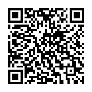 虽然他们对着进入空灵之境的龙王也想上去比试一番二维码生成