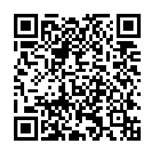 虽然他们的节节胜利已经有点让这些土军阀有点飘飘然二维码生成