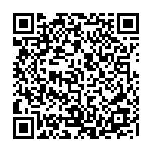 虽然他们谁也没有见过那头名为黑魔蛟的拥有青铜血脉的九星王兽长什么样子二维码生成